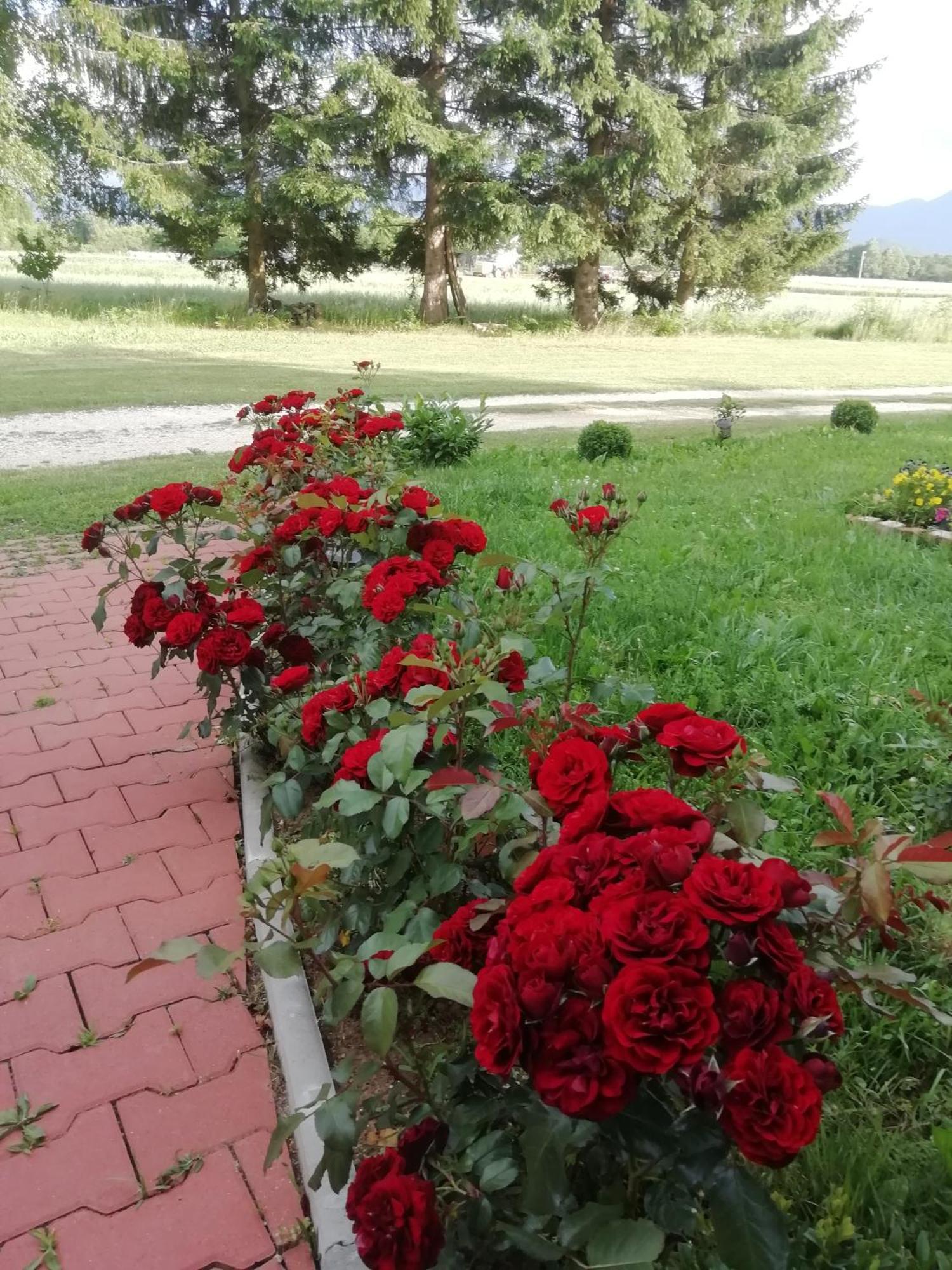 Kuca Za Odmor Lika
